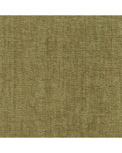 42076 WILLOW (CHARISMA)