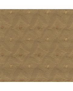 45204 COCONUT (CONNIE)
