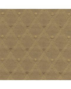 45217 TAUPE (BARETTA)