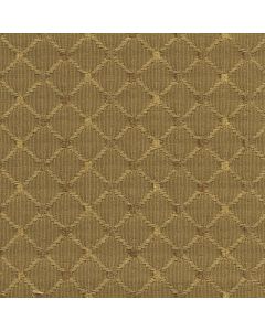 45234 OLIVE (CHEERS )