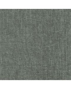 45407 MICA (CHARISMA)