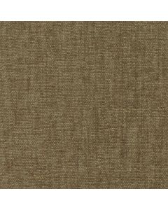 42055 OLIVE (CHARISMA)
