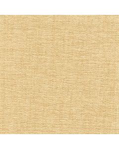 42069 CHAMOIS (CHARISMA)