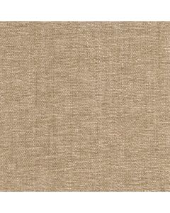 42000 BEIGE (CHARISMA/CRYPTON INCASE)