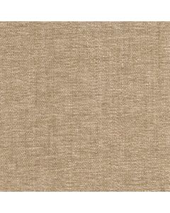 45417 BEIGE (CHARISMA)