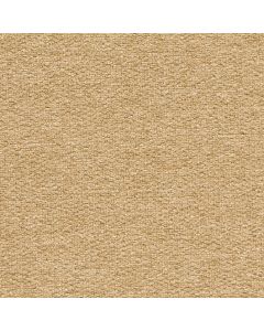 45510 CAMEL (WOOLLY)