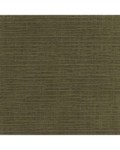 45525 OLIVE (DUBLIN)
