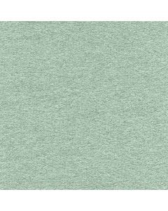 45529 AQUA (WOOLLY )