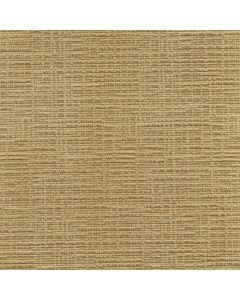 46030 WHEAT (DUBLIN) WITH NANOTEX