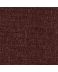 46035 CINNAMON (CHARISMA)