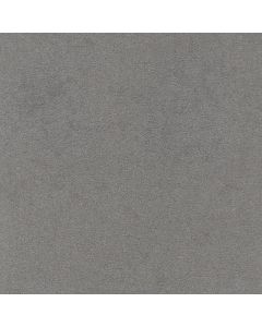 46717 FLANNEL (LUXSUEDE II)