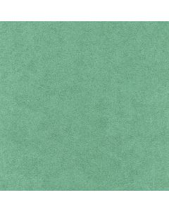 46722 PARROT (LUXSUEDE II)
