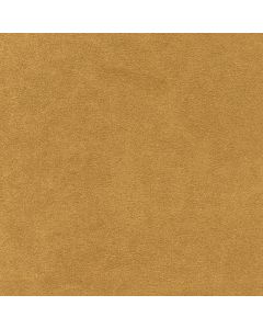 46725 SUNGLOW (LUXSUEDE II)