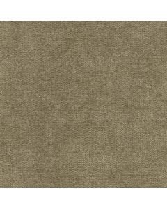 47929 TRUFFLE (LULLABY)