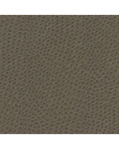 50116 COBBLESTONE (OUTBACK)