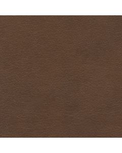 50211 PECAN (TAOS)