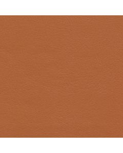 50233 MANGO (TAOS SPA)