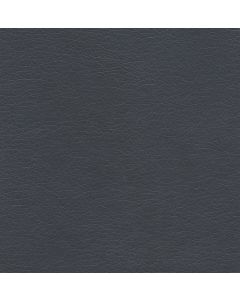 50241 NAVY (TAOS)