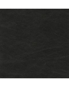 50303 BLACK (5TH AVENUE/STA-KLEEN)