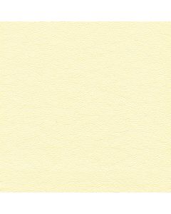 50455 LAMB'S WOOL (TOUCHE')