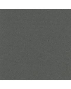 50458 RIVER ROCK (TOUCHE')