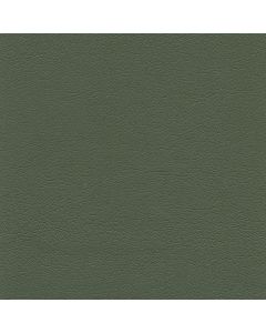 50463 BAY LEAF (TOUCHE')