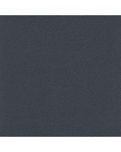50469 MIDNIGHT (TOUCHE')