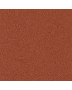 50475 PAPRIKA (TOUCHE')