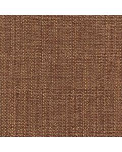 52402 APRICOT (MERRILL)
