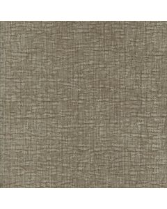 52526 TAUPE (ENGAGE)