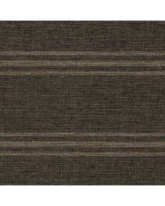 53022 EBONY (NOVEL)