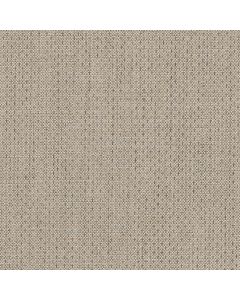 53521 ZINC (ALLURE)
