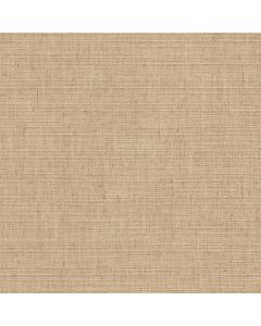 54504 LINEN (IRIS)