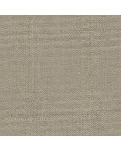 54904 SAND DOLLAR (STELLAR)