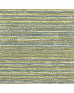 56136 SURF (ABACA)