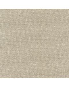 56230 PEBBLE (ZANZIBAR)