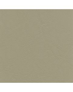 AL862 LIGHT NEUTRAL (ALLANTE)