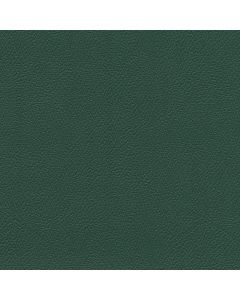 AME1217 FOREST GREEN (AMERICANA)