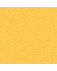 CH202 YELLOW (CHAMPION)