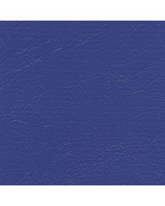 CH757 ROYAL BLUE (CHAMPION)