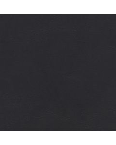 EZY0958 BLACK (E-Z SIERRA)