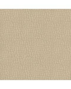 GEM2561 PEARL (GEMINI)