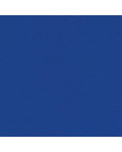 NAV9901 BLUE RIBBON (NAVIGATOR SOFT)