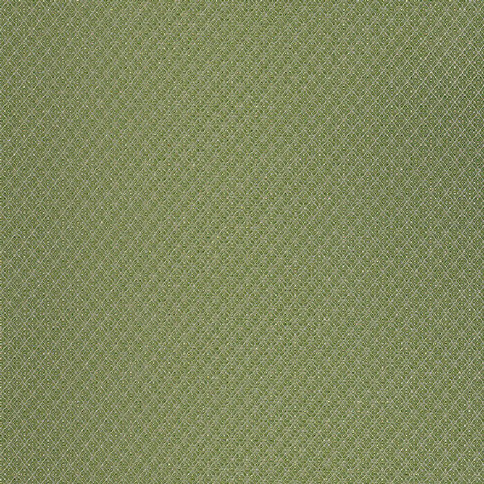 DIA6616 OLIVE (DIAMANTE)