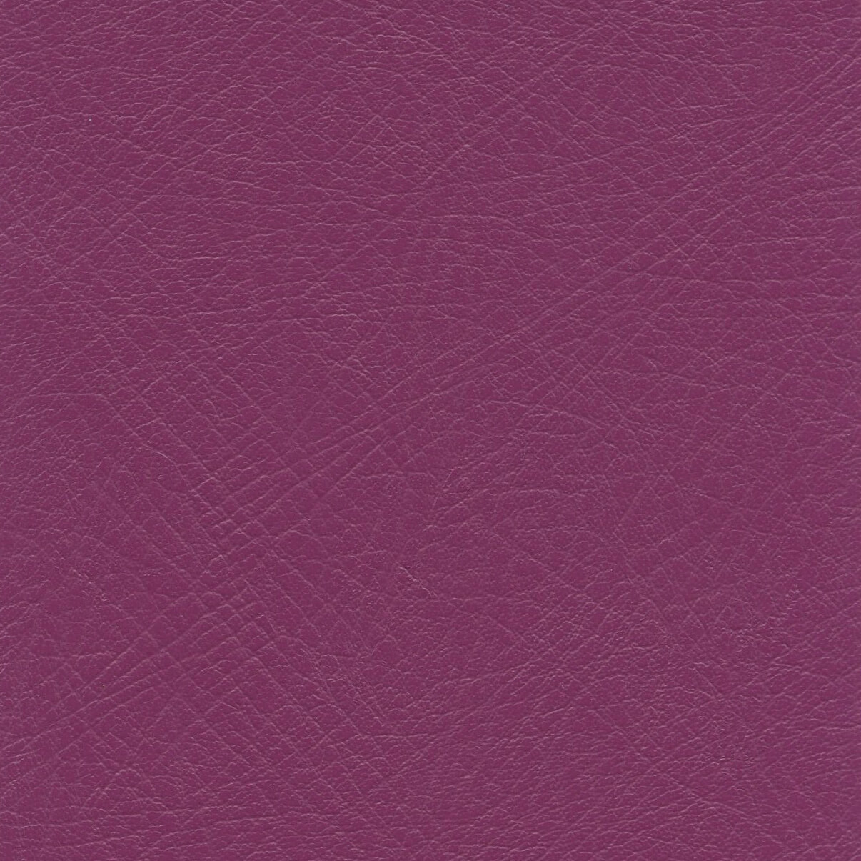 LEXI-FUSCHIA FUSCHIA (LEXI)