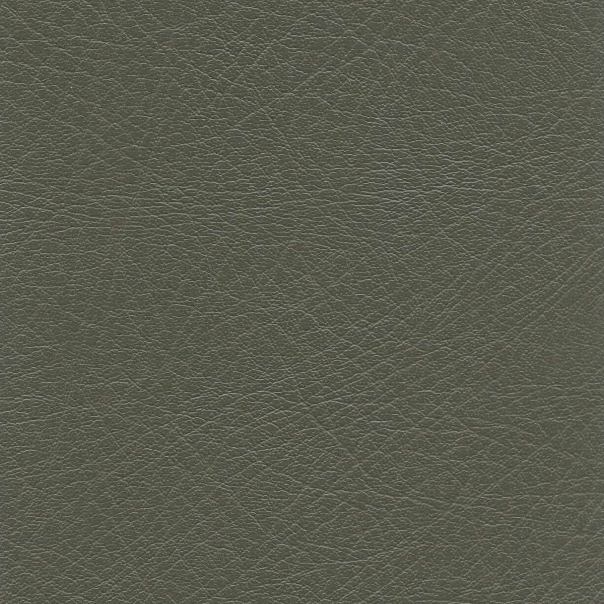 LEXI-GREENTEA GREEN TEA (LEXI) (50263)