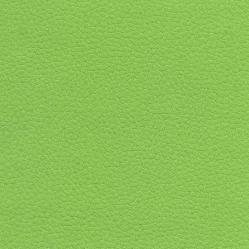 LUX110 LIME (LUXSPORT)