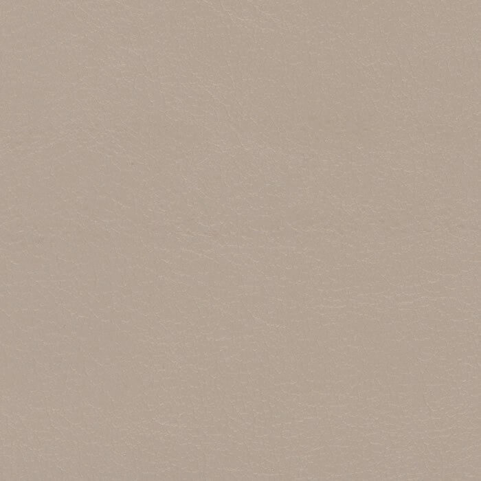 NAV9896 STONE (NAVIGATOR SOFT)