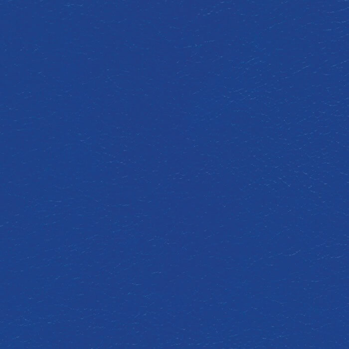 NAV9901 BLUE RIBBON (NAVIGATOR SOFT)