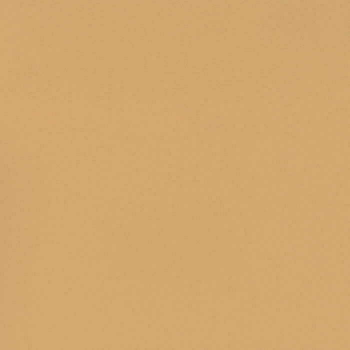 NUA2472 CHAMOIS (NUANCE)